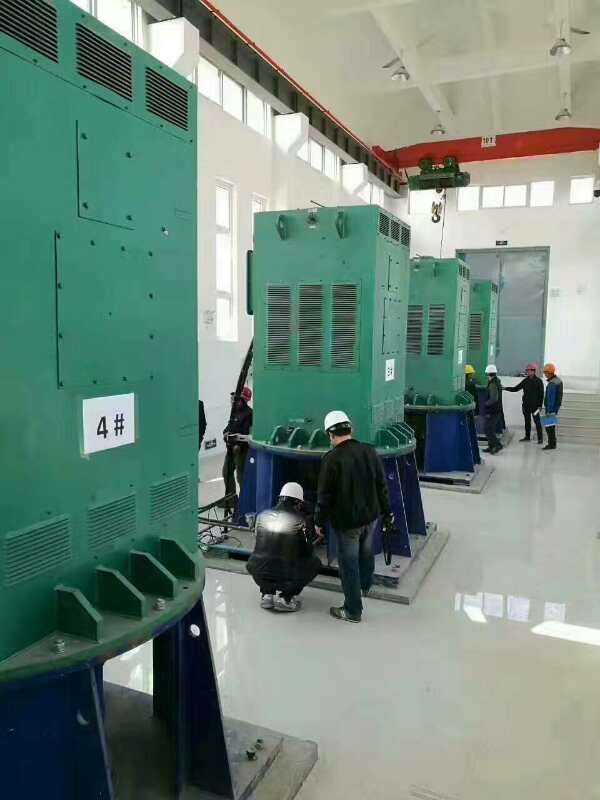 阿克陶某污水处理厂使用我厂的立式高压电机安装现场